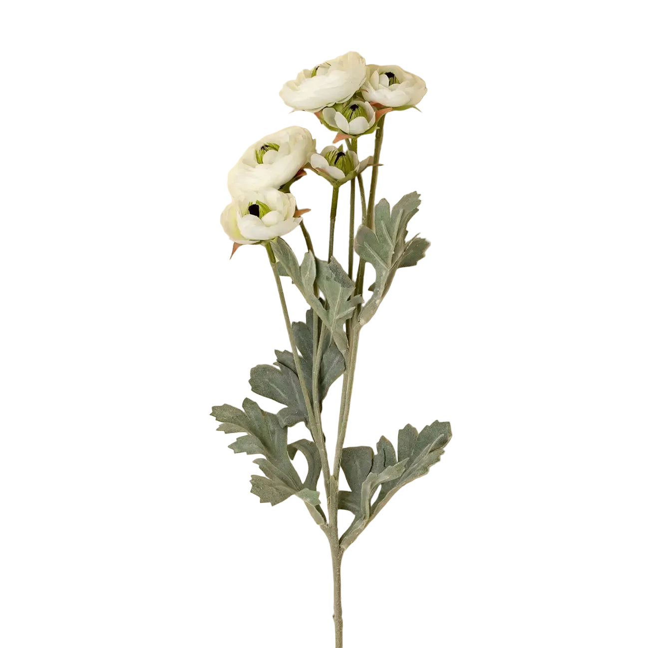 Ranunculus Spray Flower