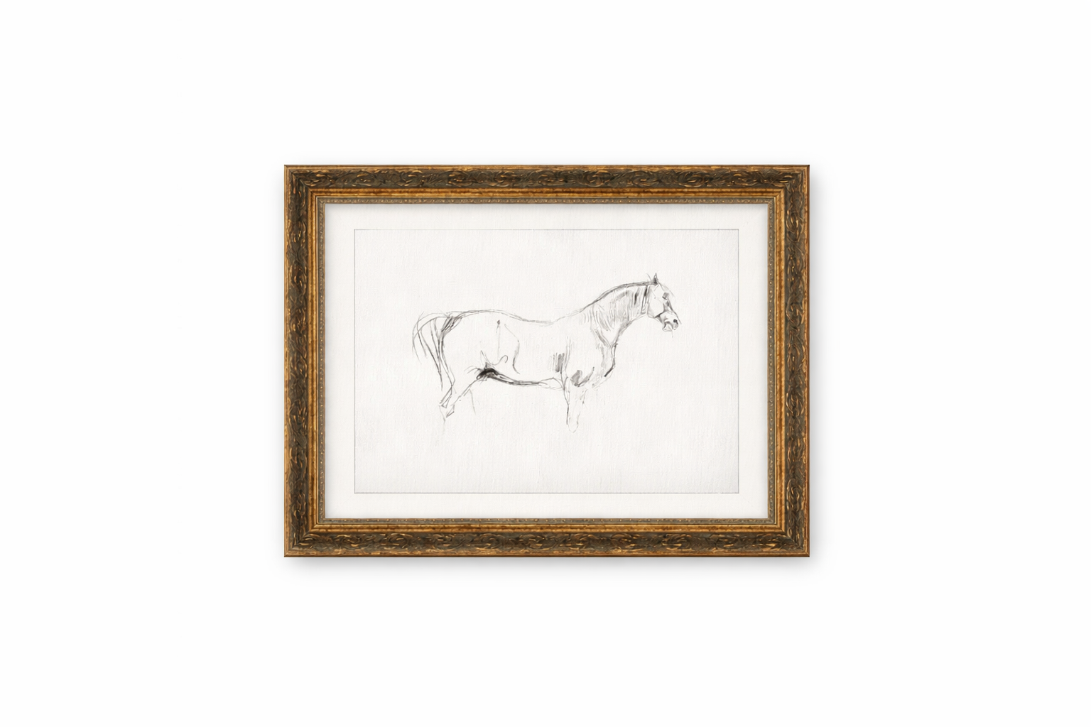Horse Sketch Framed Art