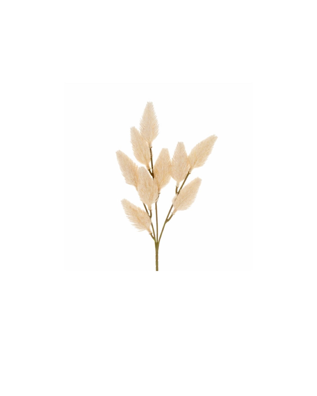 Bunny Tail Spray