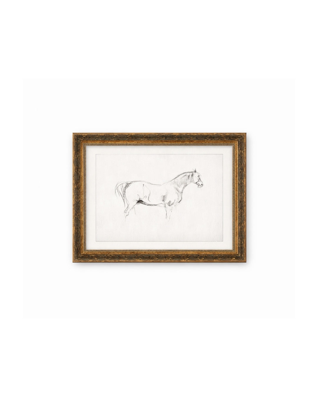 Horse Sketch Framed Art