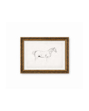 Horse Sketch Framed Art