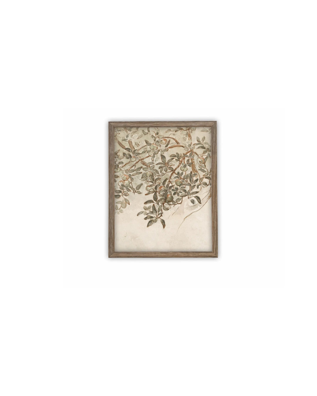 Vintage Laurel Print