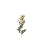 Ranunculus Spray Flower
