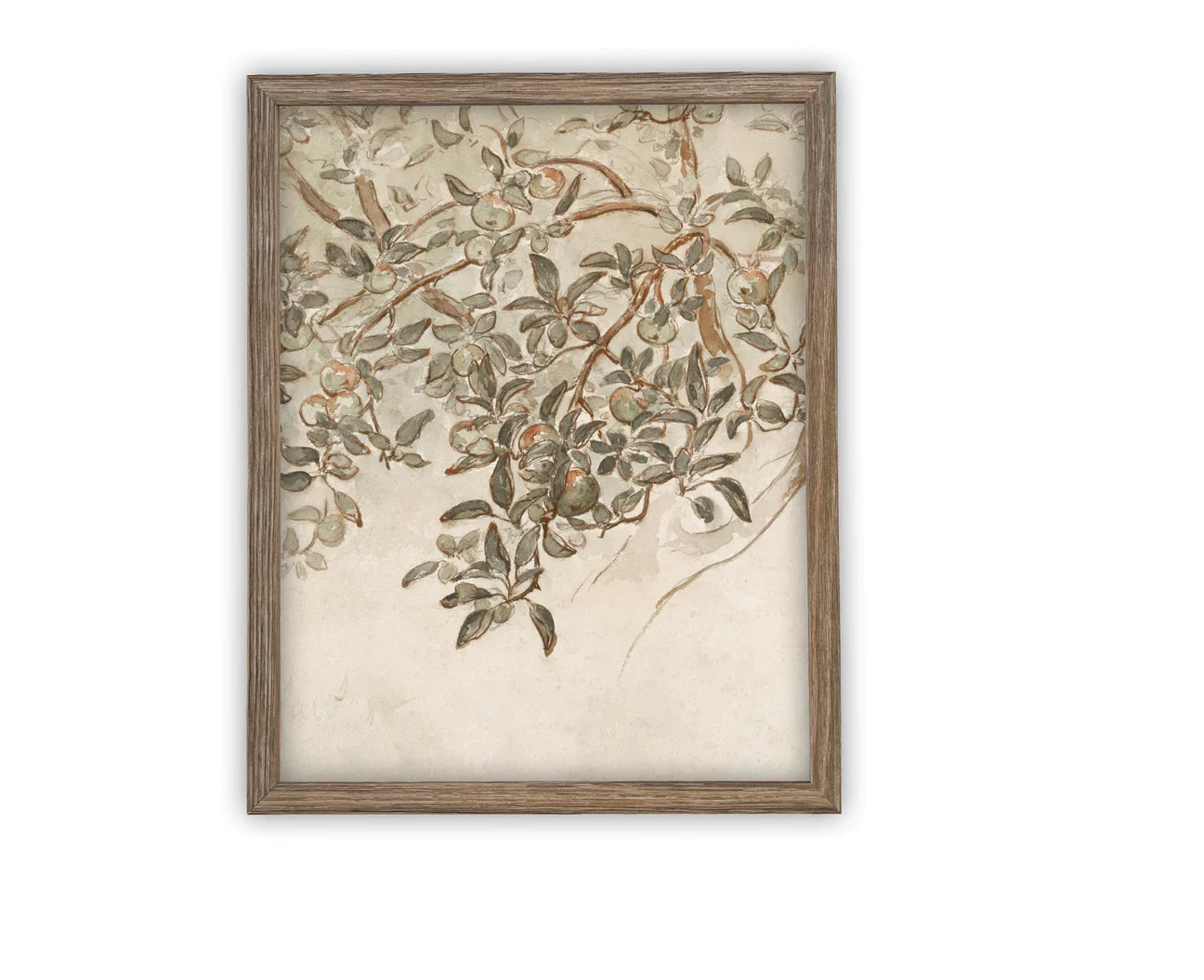 Vintage Laurel Print