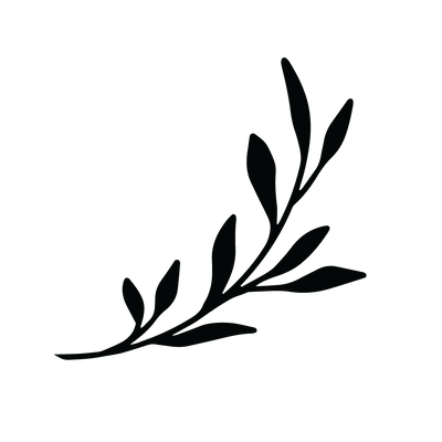 Lottie Lane LLC