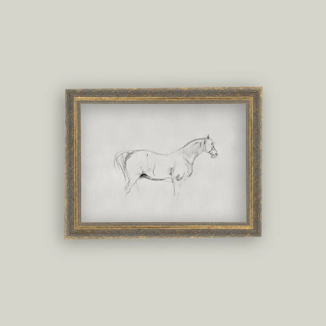 Horse Sketch Framed Art